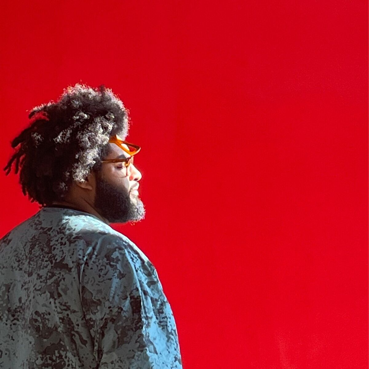 Album cover of Shame