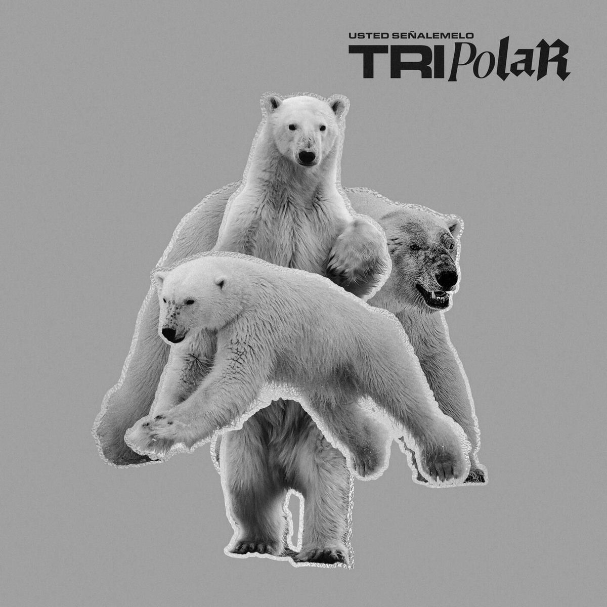 Album picture of Tripolar