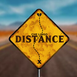 Cover of Distance