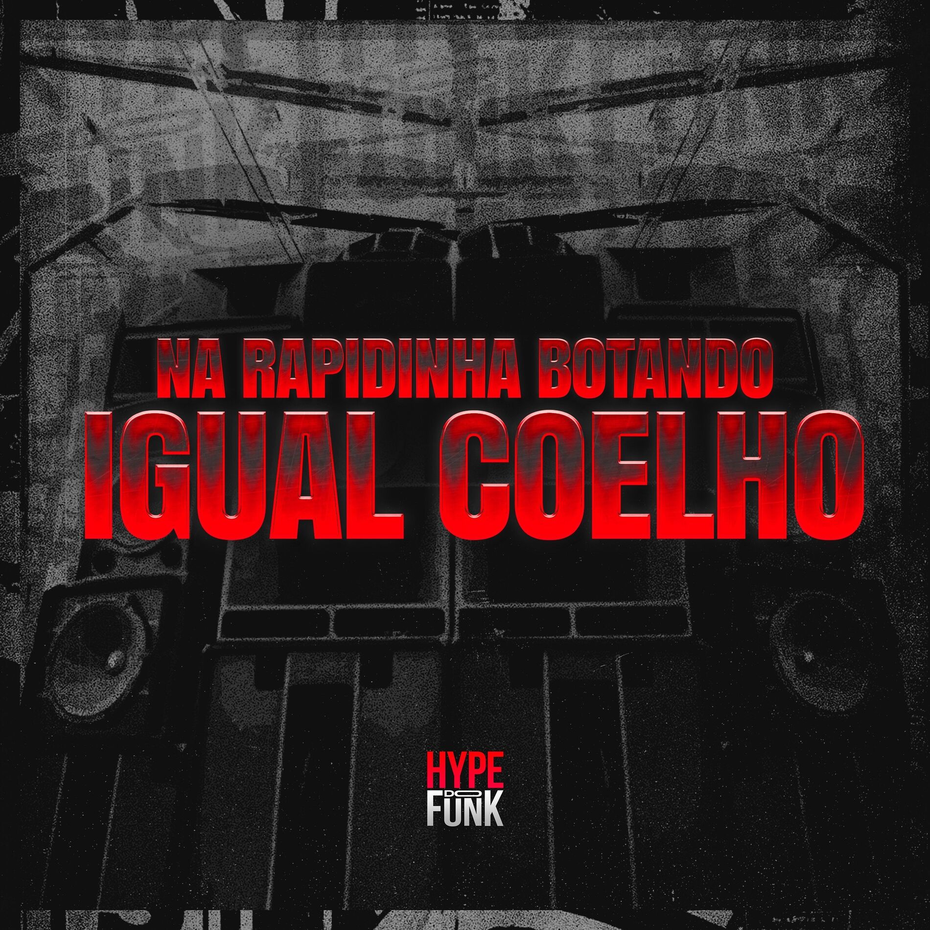 Album cover of Na Rapidinha Botando Igual Coelho