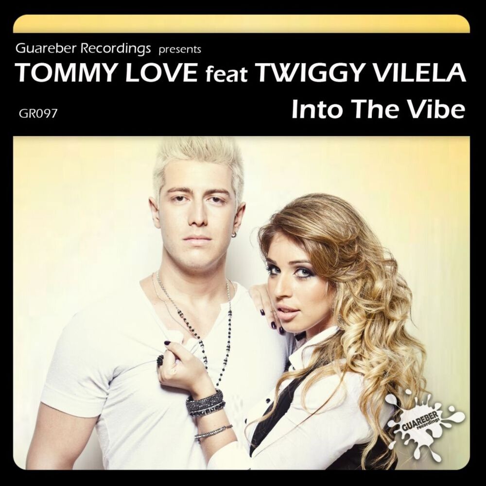 Picture of Into The Vibe
