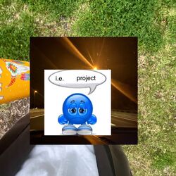 Cover of project