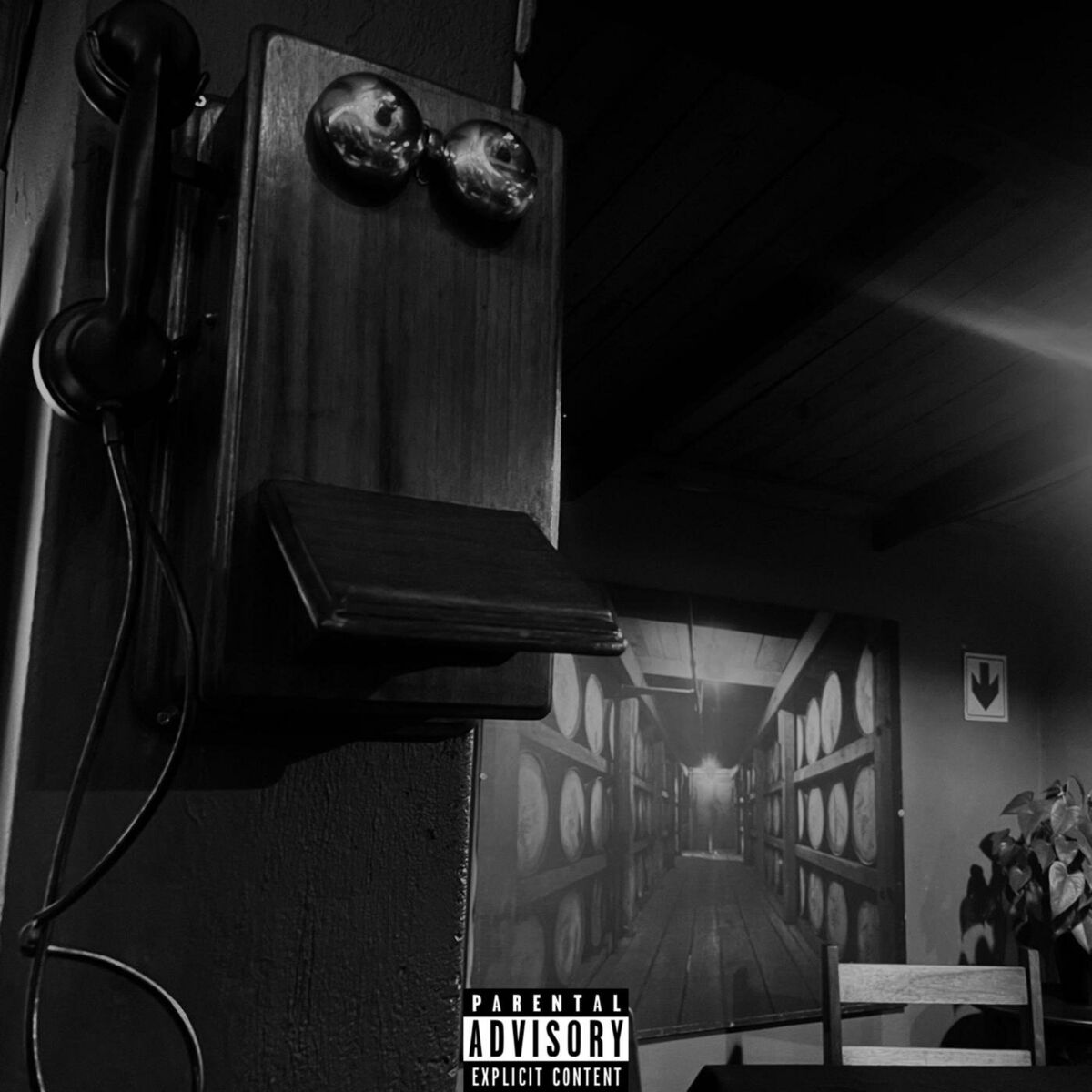 Album cover of (Album Preview)