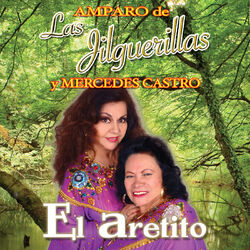 Cover of El Aretito