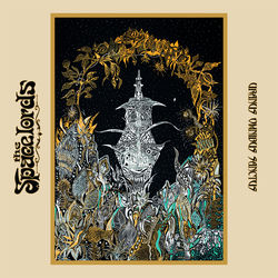 Descargar Whales - The Spacelords MP3