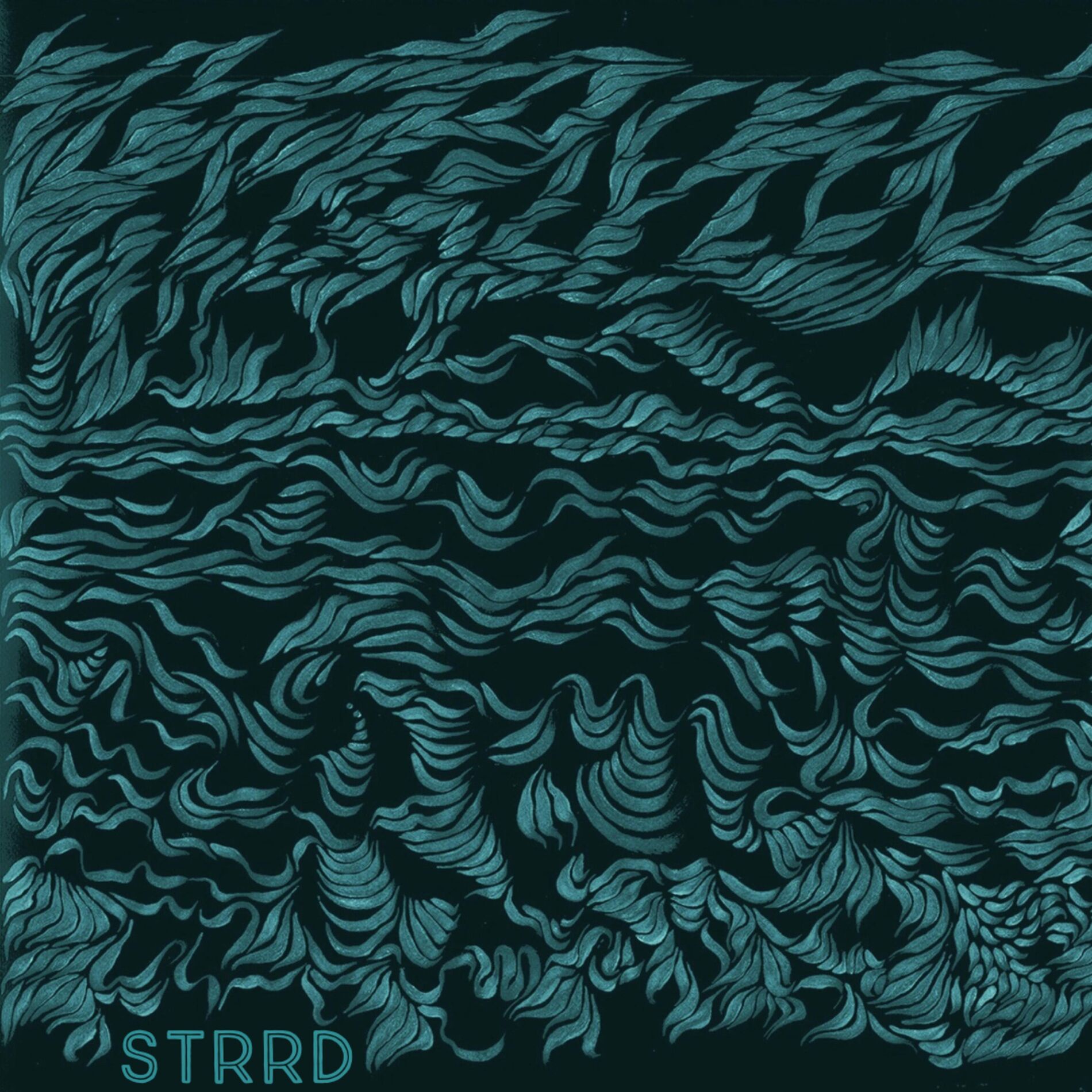 Album cover of Strrd