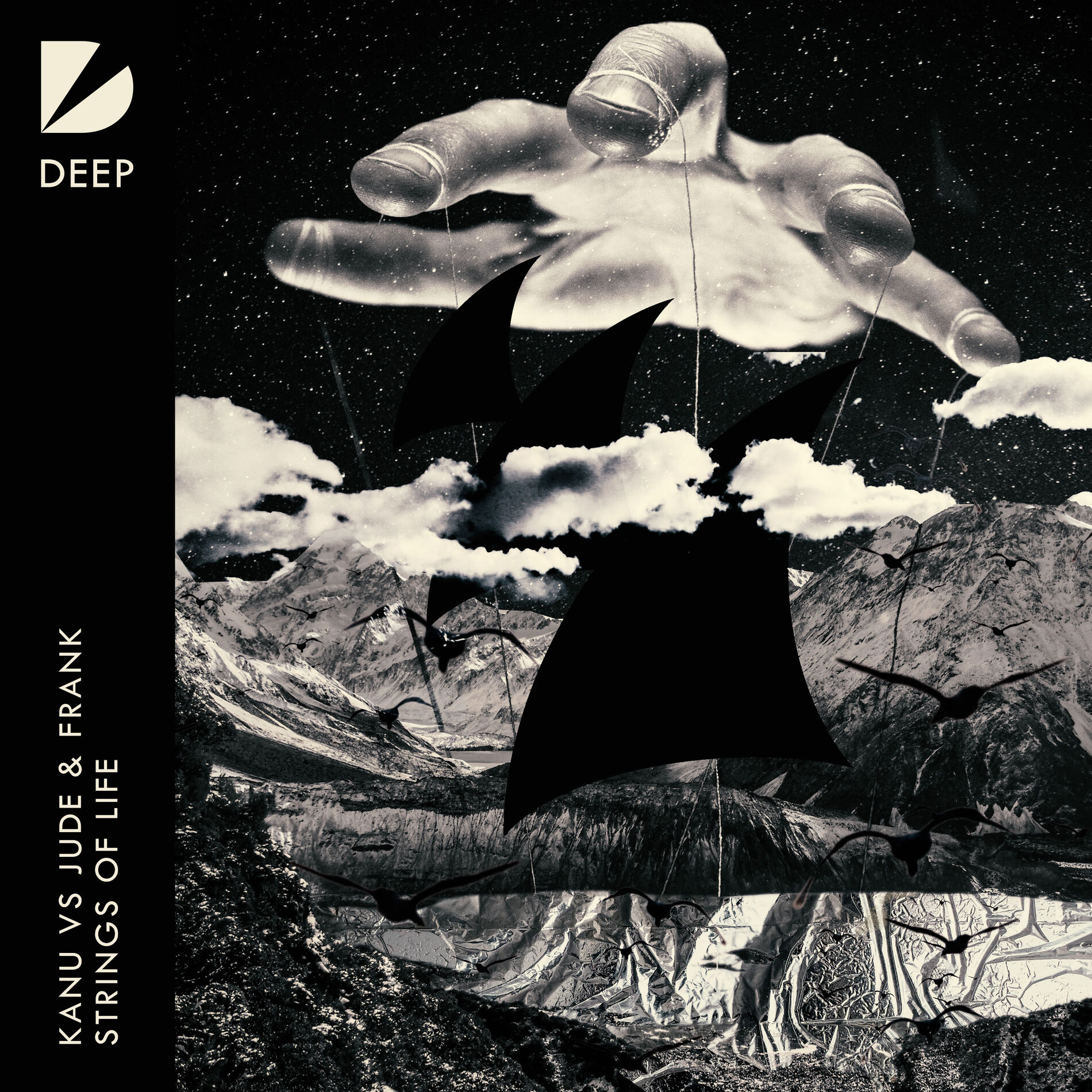 Album cover of Strings Of Life
