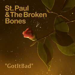 Cover of GotItBad