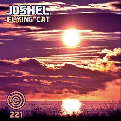 Cover of Flying Cat