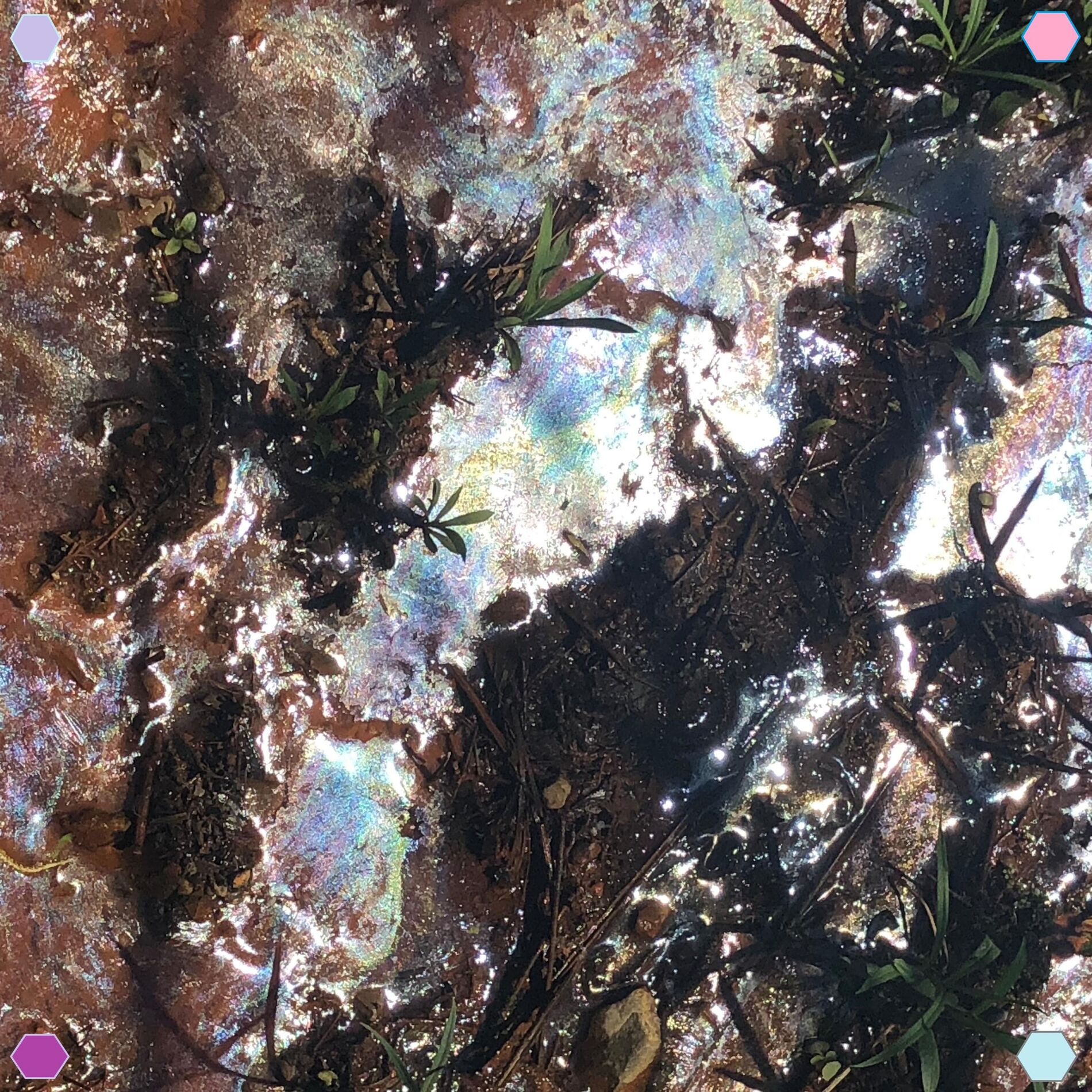 Album cover of Not 2 Cry