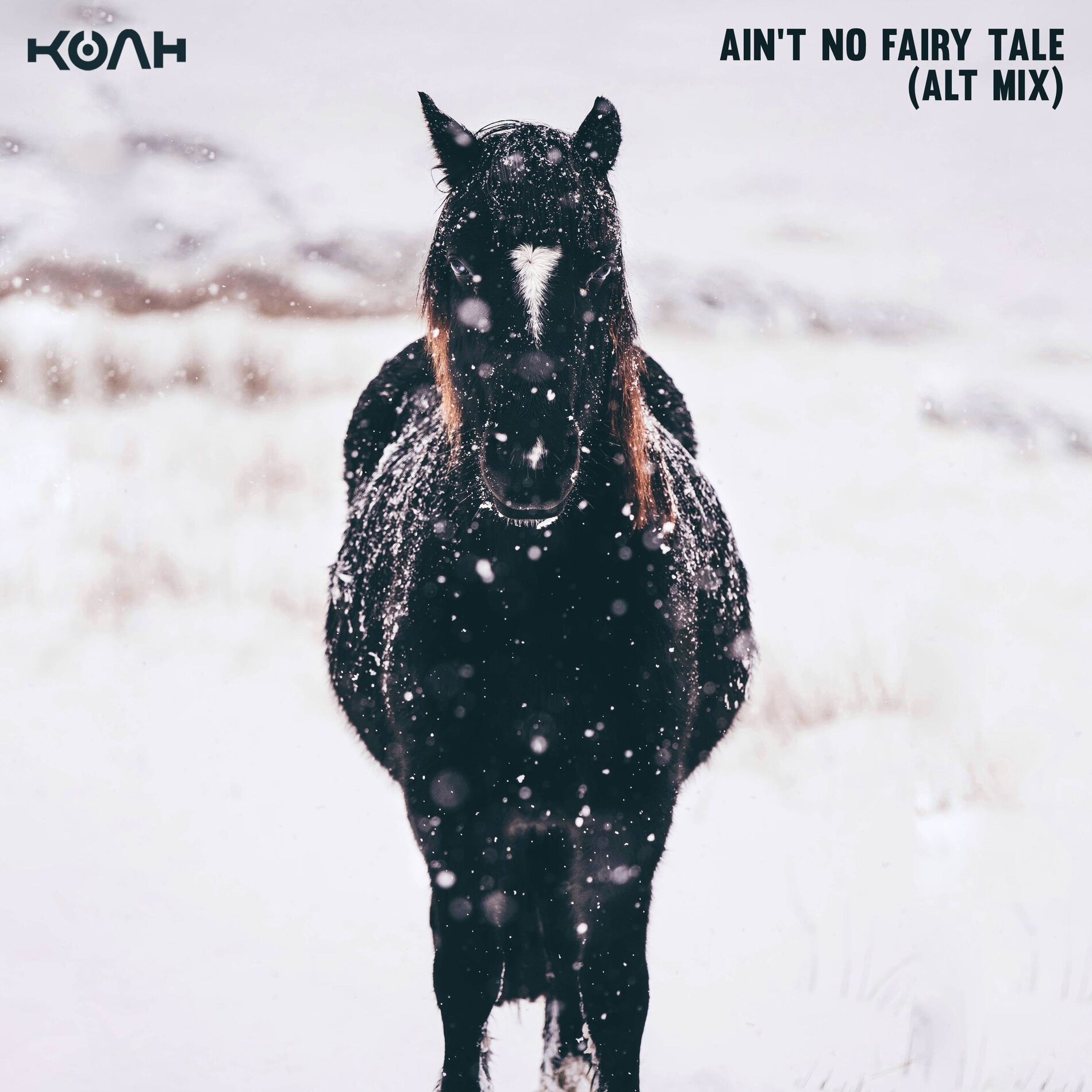 Album cover of Ain't No Fairy Tale (Alt Mix)