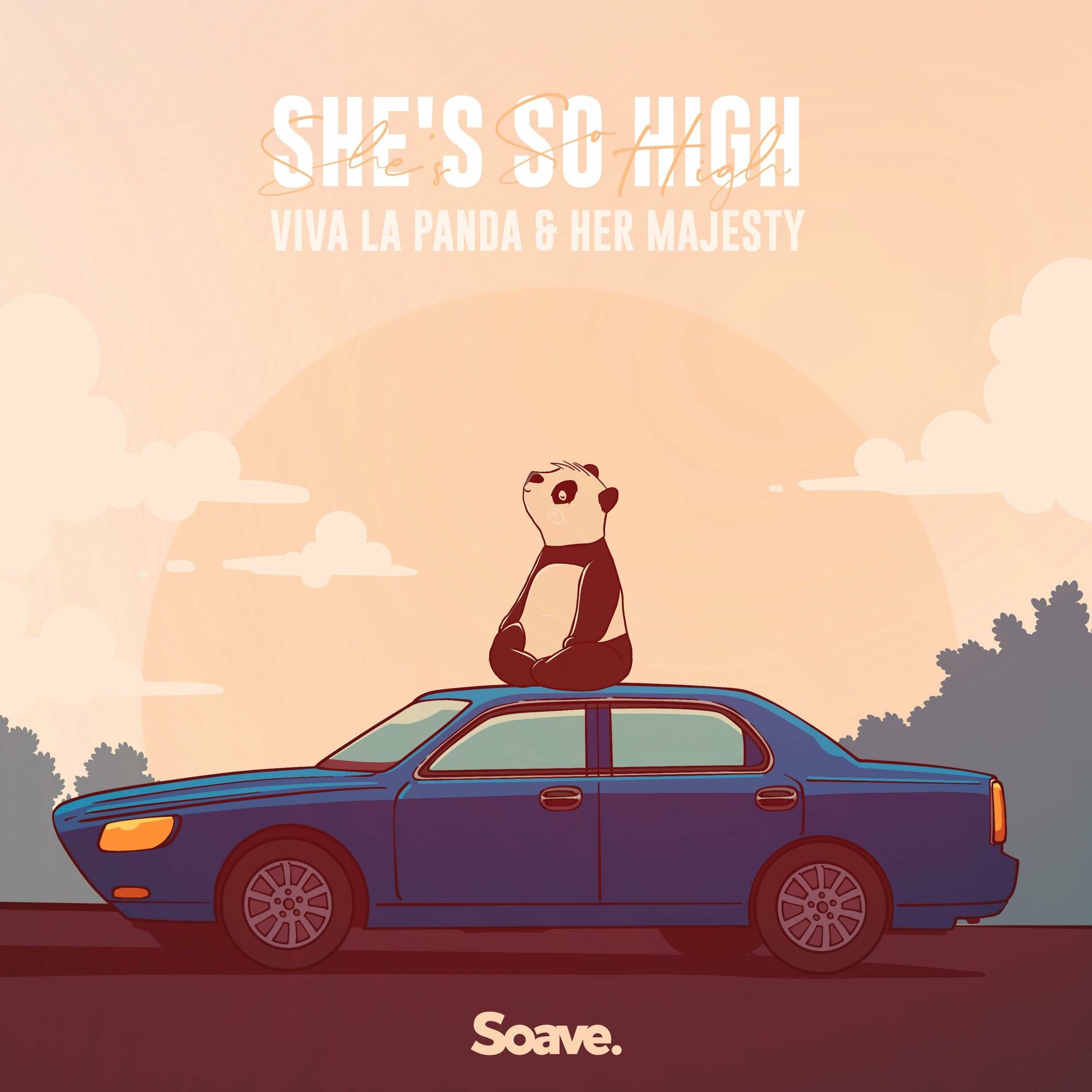 Album cover of She's so High