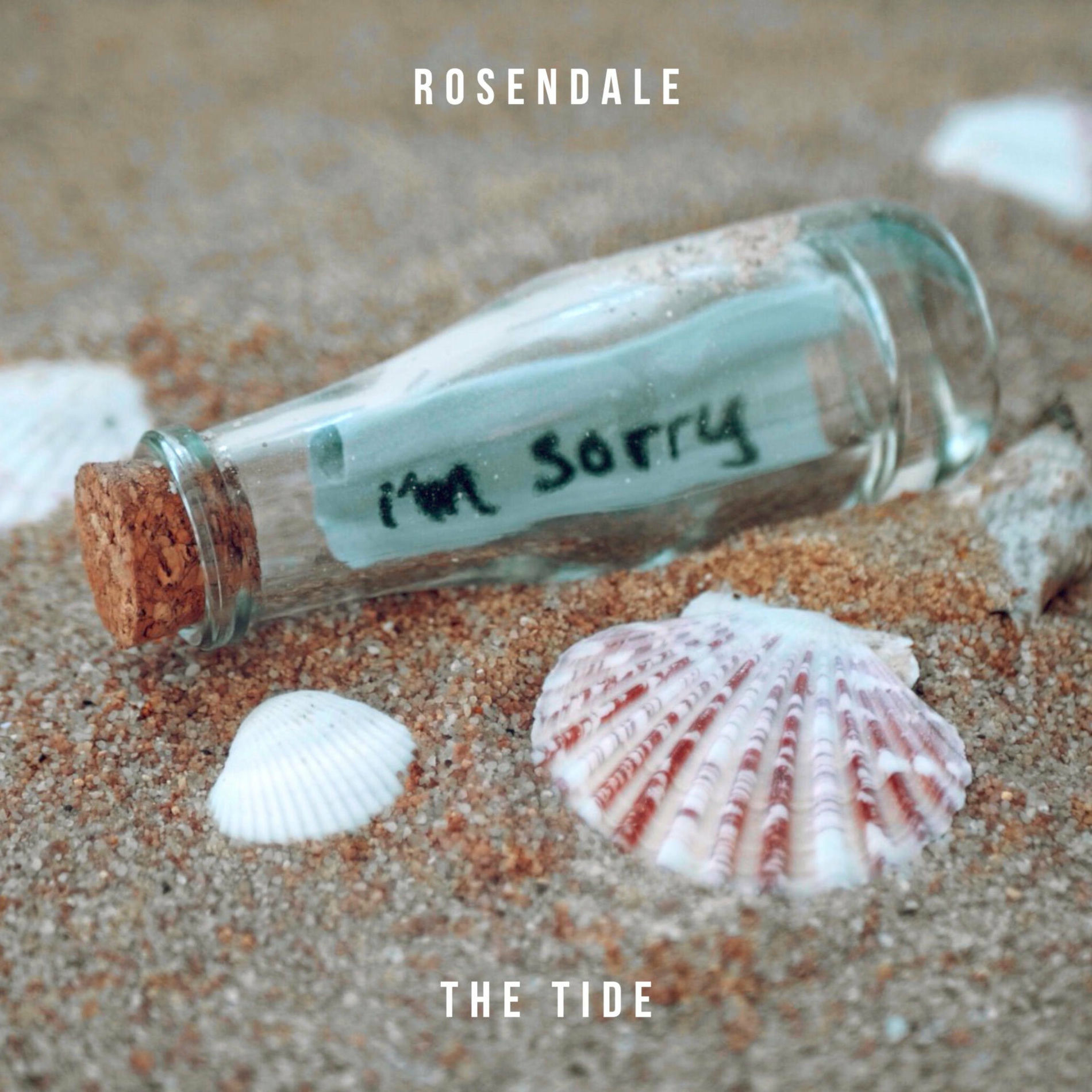 Album cover of The Tide