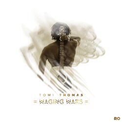 Cover of Waging Wars