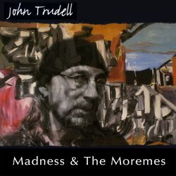 Cover of Madness & the Moremes