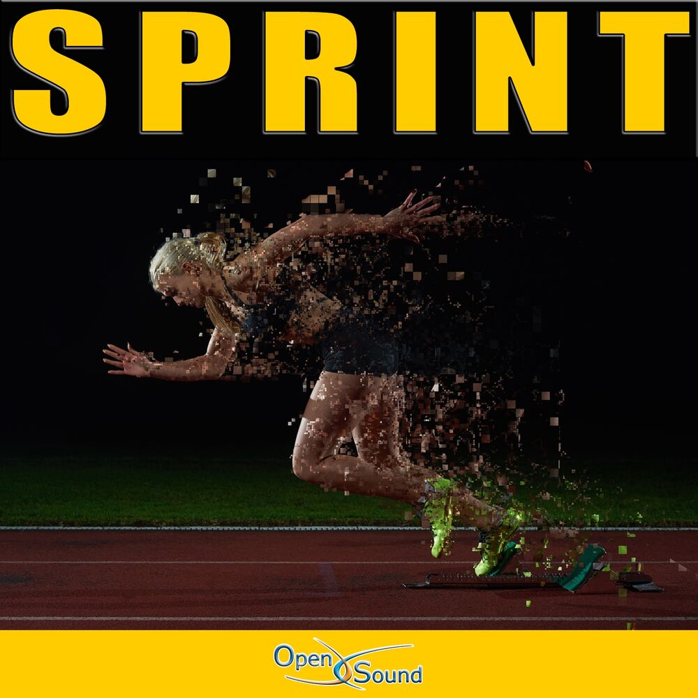 Picture of Sprint