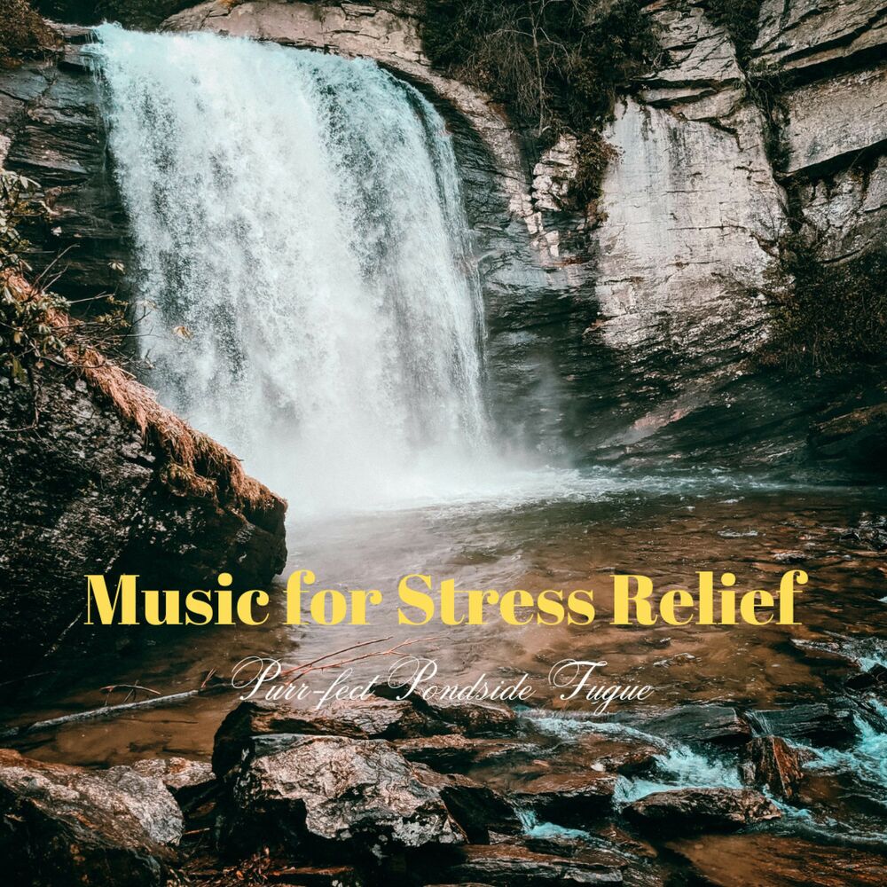 Picture of Music for Stress Relief: Purr-fect Pondside Fugue