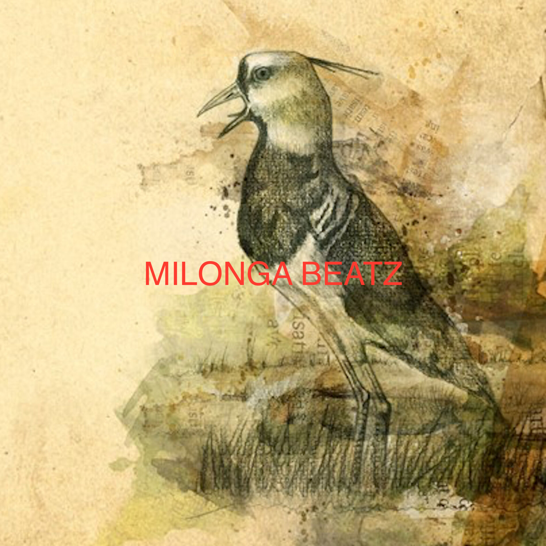Album cover of Milonga 7