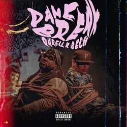 Cover of Dame Break