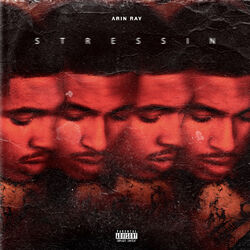 Cover of Stressin