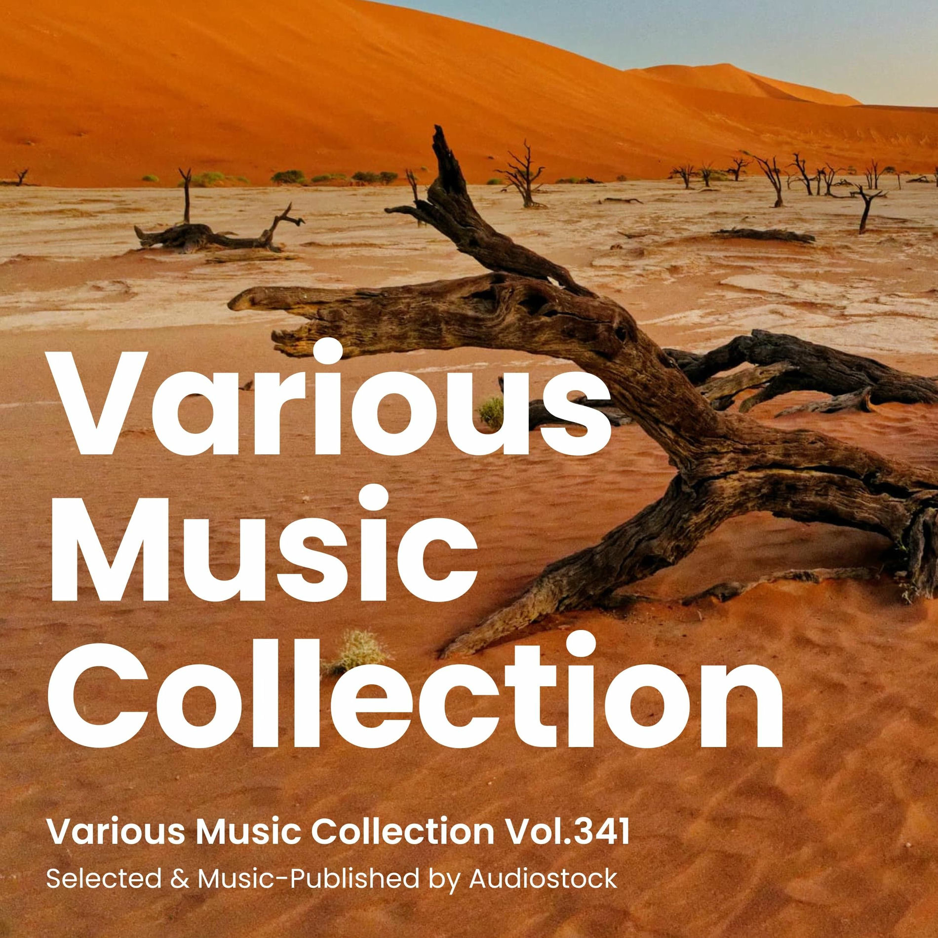 Album cover of Various Music Collection Vol.341 -Selected & Music-Published by Audiostock-