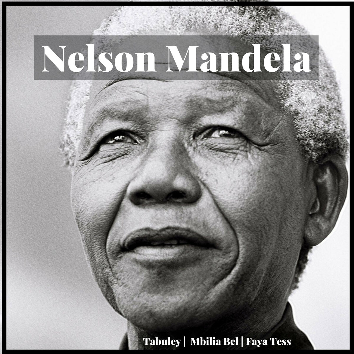 Album cover of Nelson Mandela