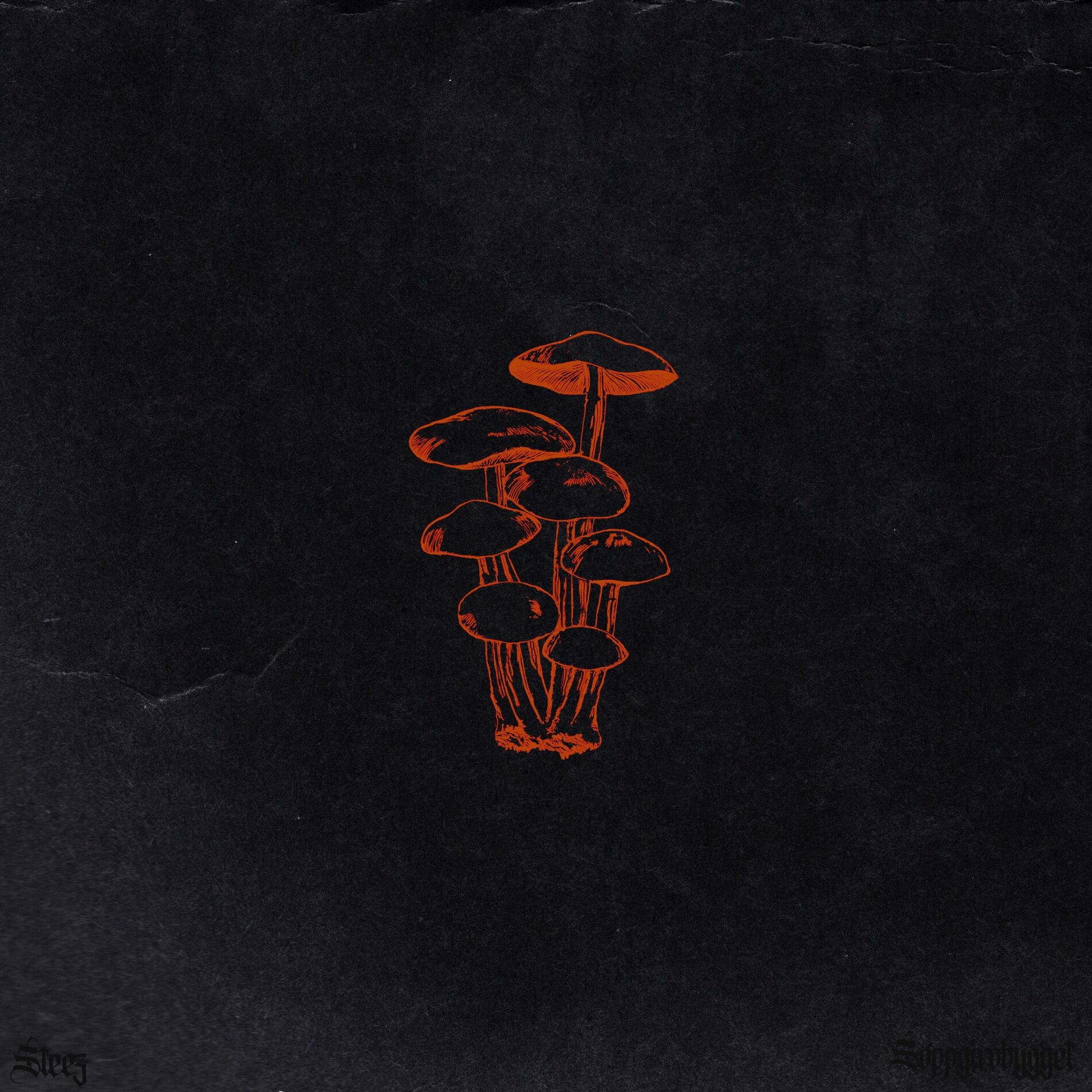 Album cover of STEEZ