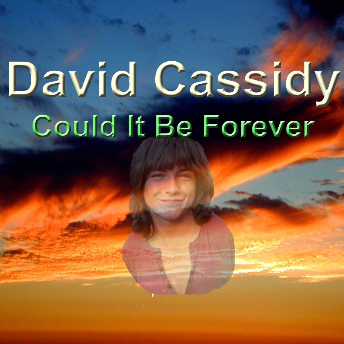 Album cover of Could It Be Forever