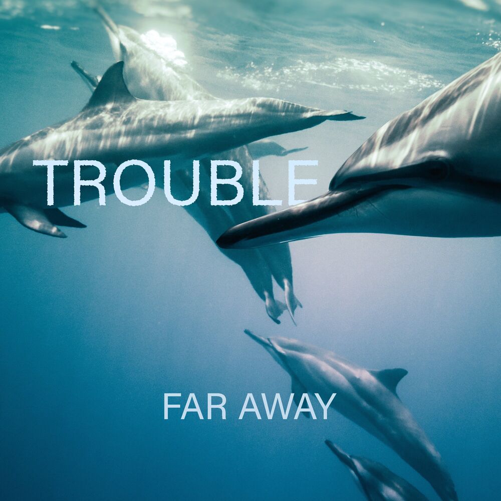 Picture of Trouble