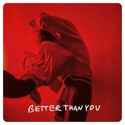 Cover of Better Than You