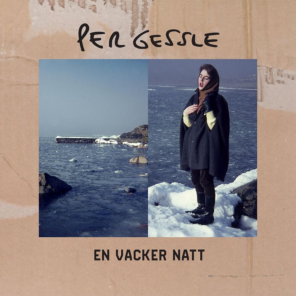 Picture of En vacker natt