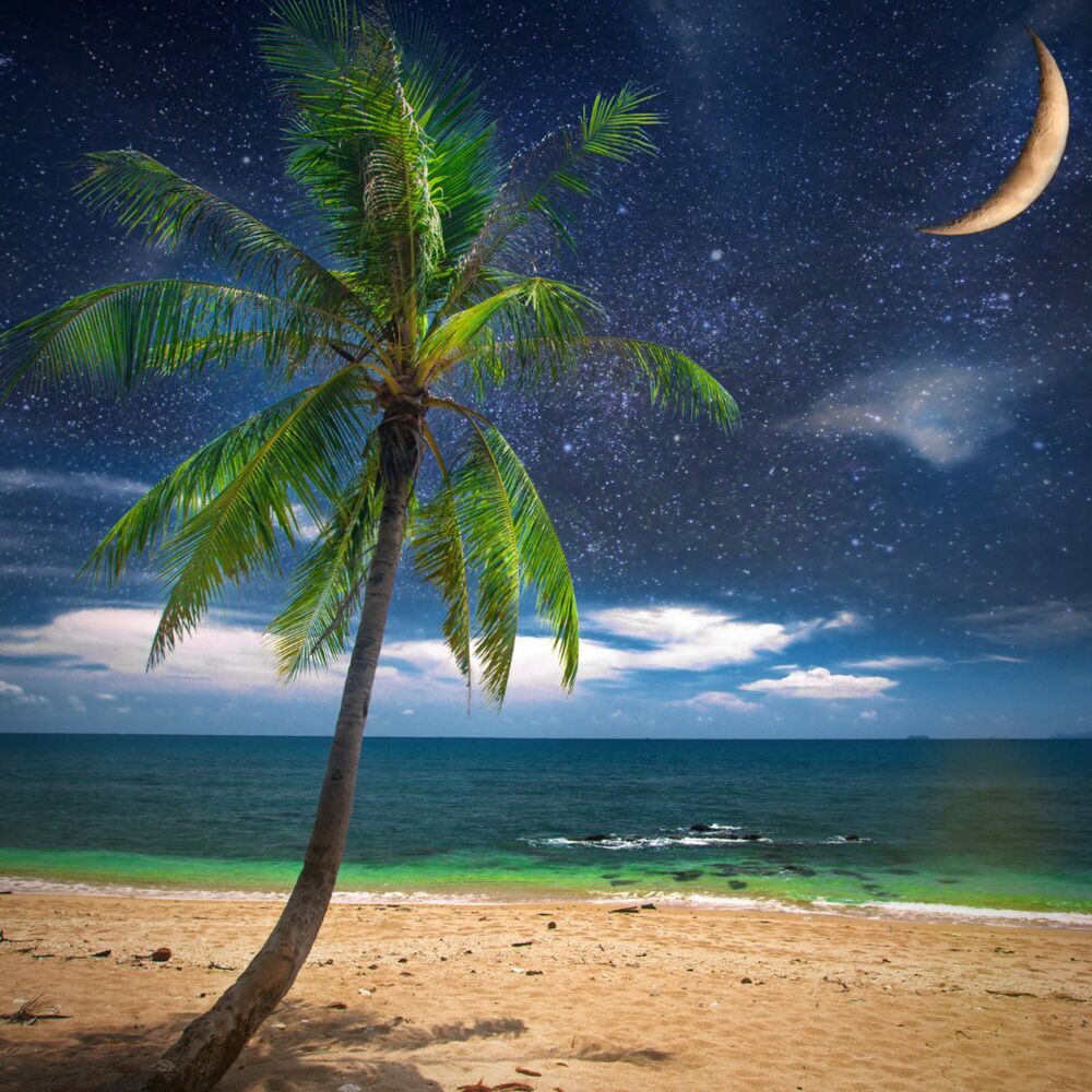 Picture of Aquatic Echoes: Relaxing Music Ocean Delight