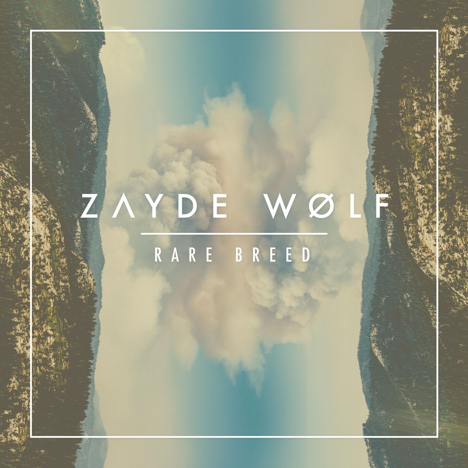 Album cover of New Blood