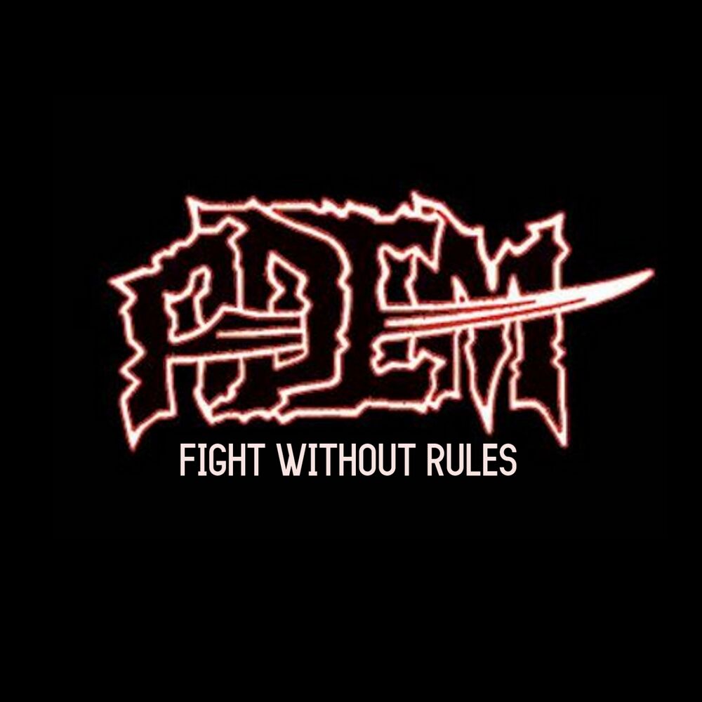 Picture of Fight Without Rules