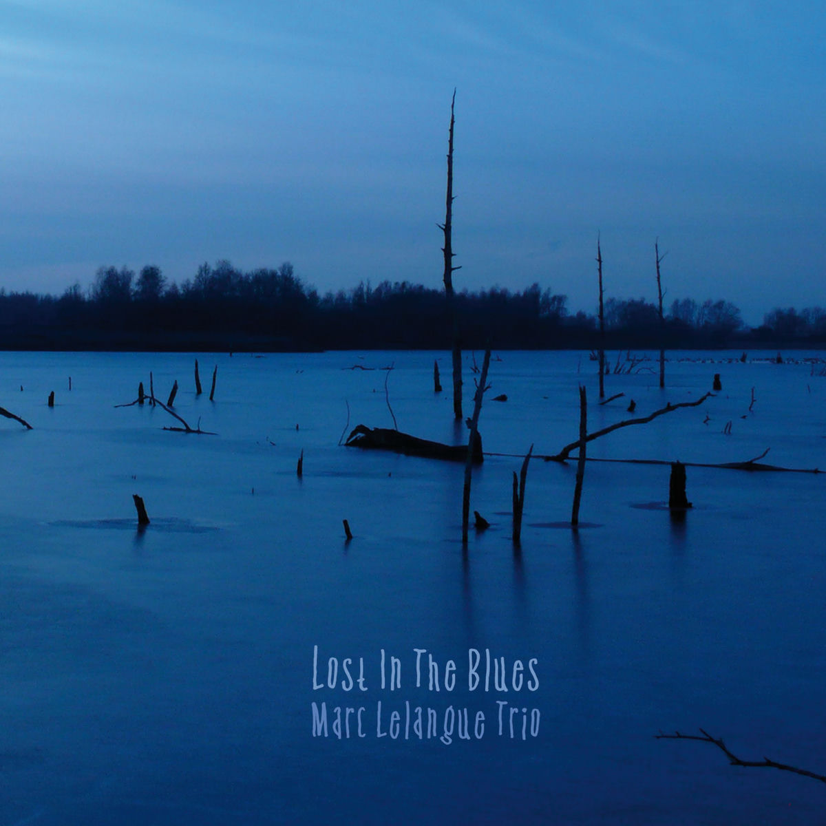 Album cover of Empty House Blues