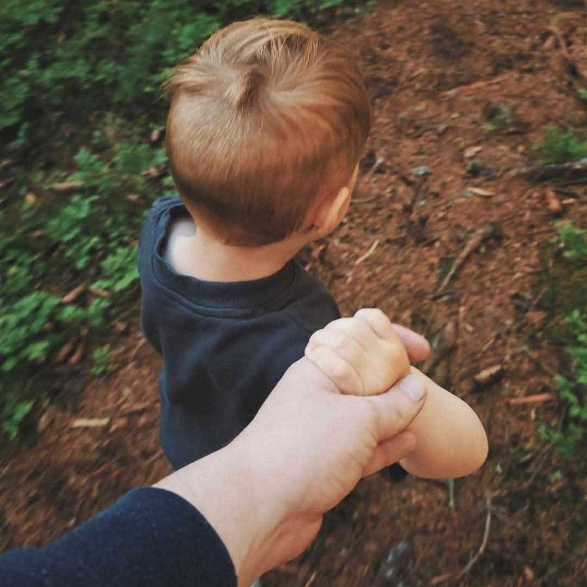Album cover of Til min sønn