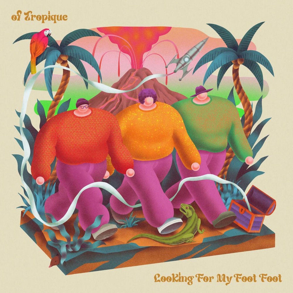 Album cover of Looking For My Foot Foot