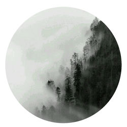 Cover of Solstice by undefined