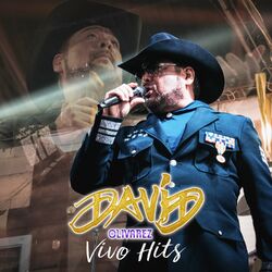 Cover of Vivo Hits (En Vivo)