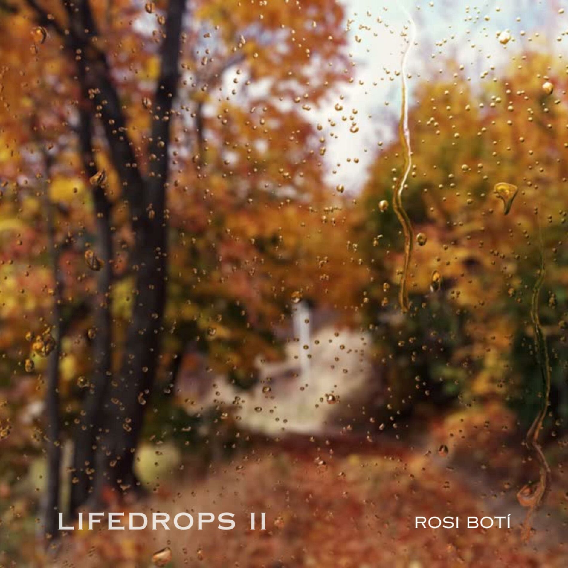 Album cover of Lifedrops II