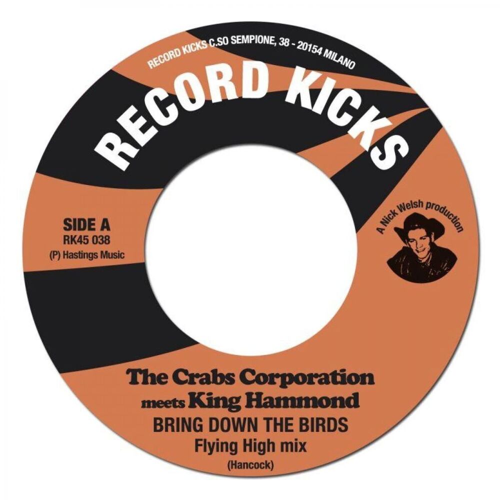 Picture of Bring Down The Birds (feat. king hammond)