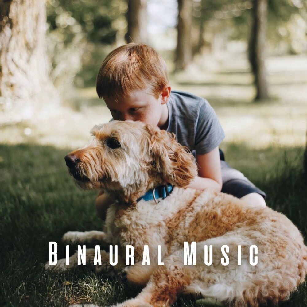 Picture of Binaural Music: Pets' Calming Journey