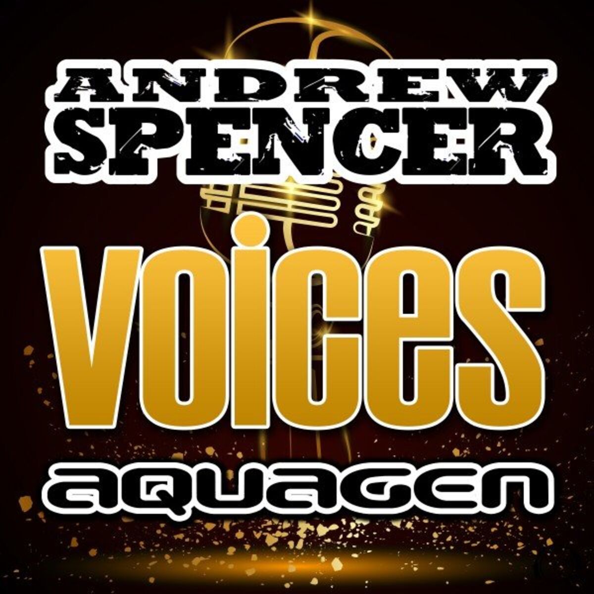 Album cover of Voices