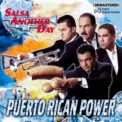 Cover of Salsa Another Day