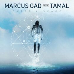 Cover of Enter a Space