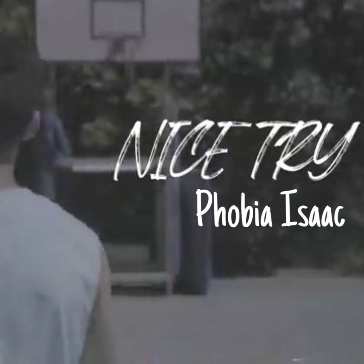 Album cover of Nice Try