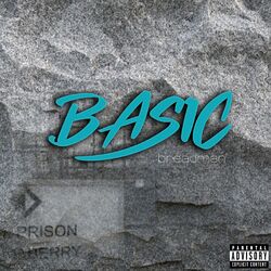 Cover of Basic
