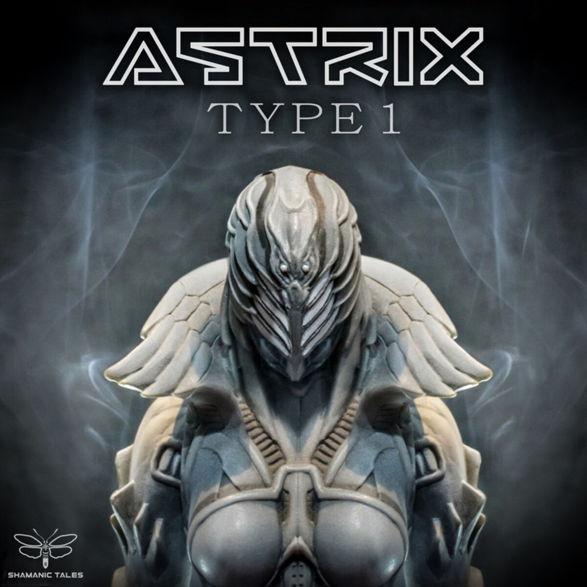 Album cover of Type 1