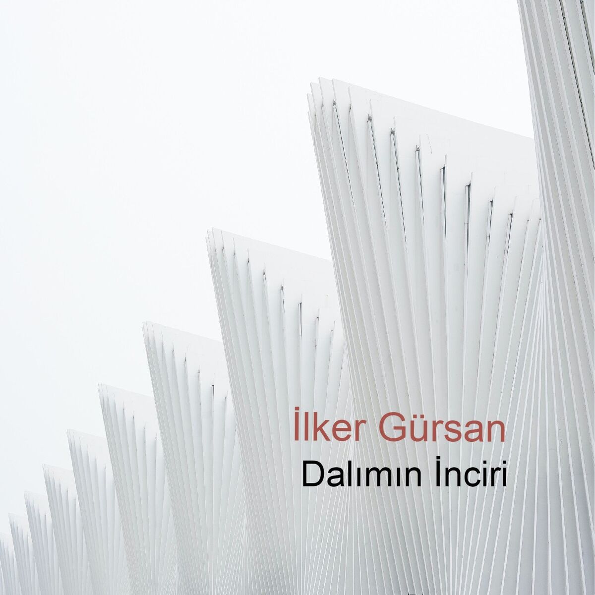 Album cover of Soyhana Kalsın