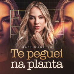 Cover of Te Peguei na Planta